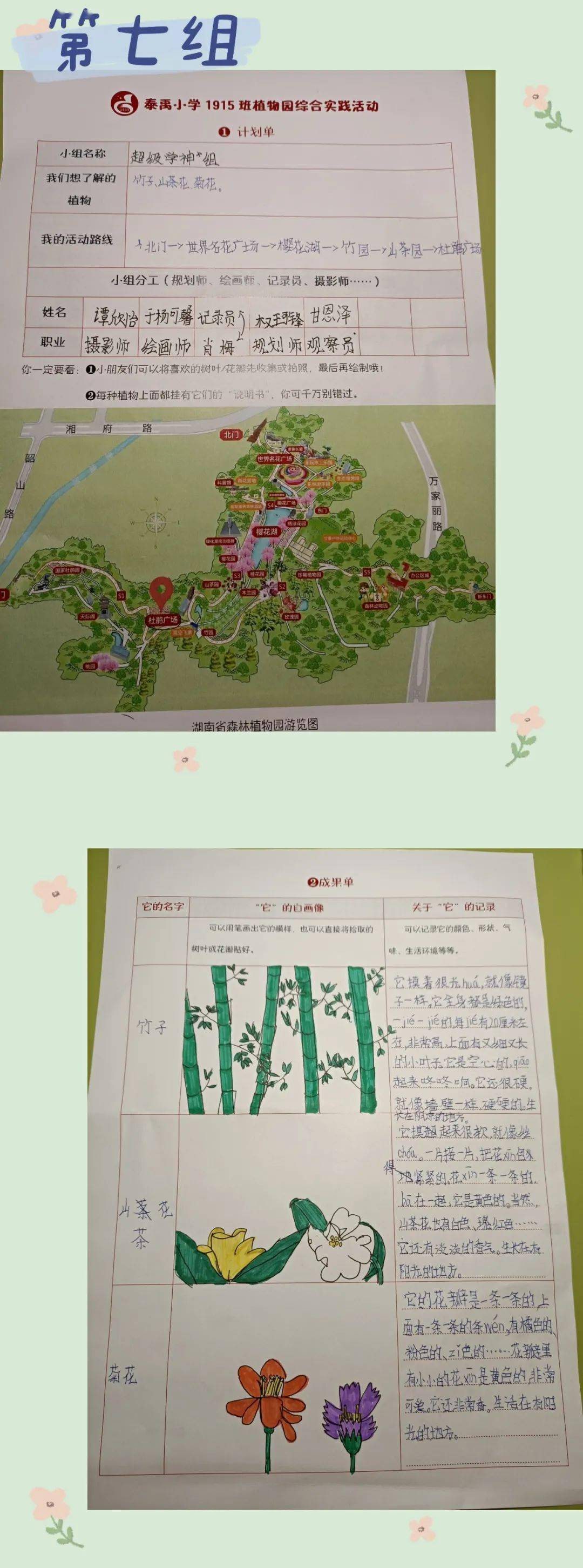 三年级综合实践活动方案（校园植物大探秘）的简单介绍