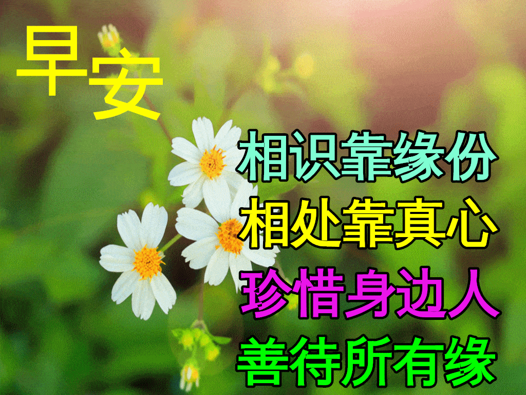 12月11日早上好动态表情图片大全早晨好动图美图大全