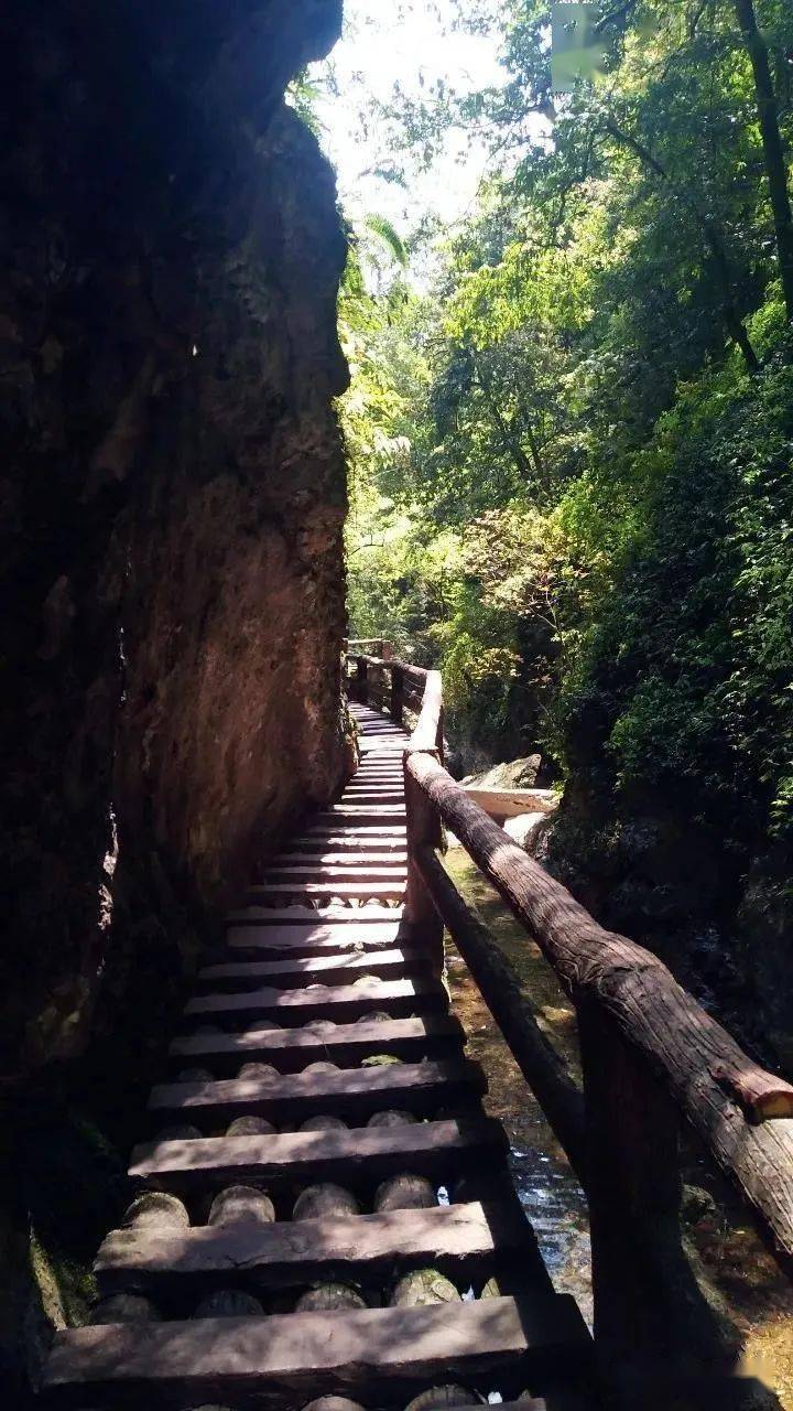 青城山龙隐峡栈道图片