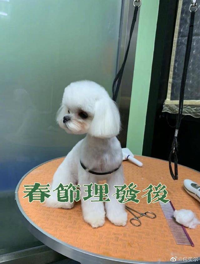 2eac0ecc14e84e3bac6ce9c125d862cf.jpeg