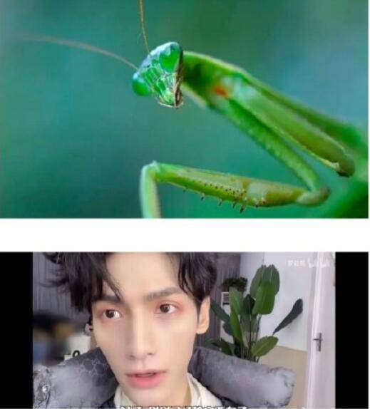 蒲巴甲的荒唐情史以及他的著名前女友们