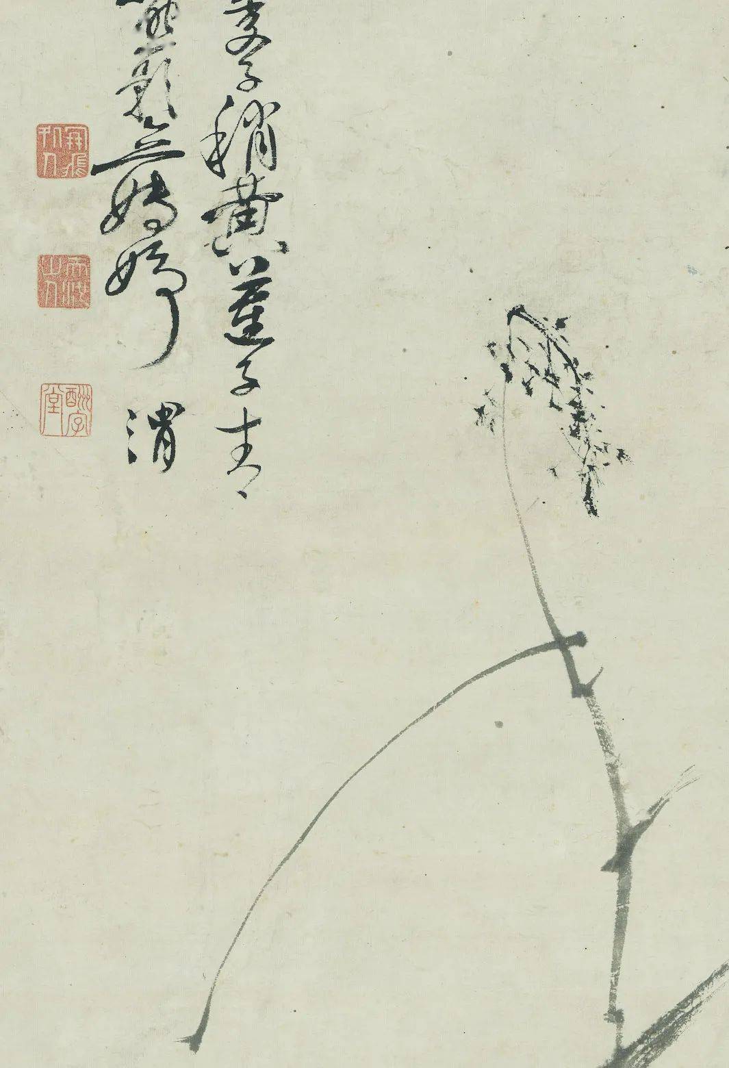 赏画明徐渭荷花图