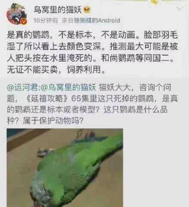 论明星对待动物都多不同,姚守岗炸死军犬,孙俪却主动救下老驴