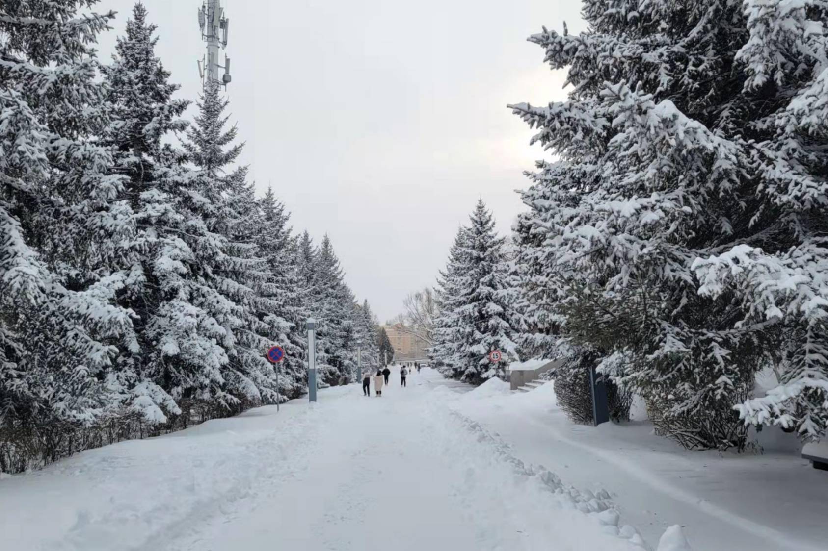 瑞雪|【雪落象牙塔】黑龙江工业学院：瑞雪已至 冬意正浓