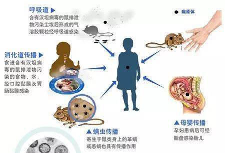 怎么能不被传染 12f0a751aefb4546a07a32988bc8dc6f.jpeg