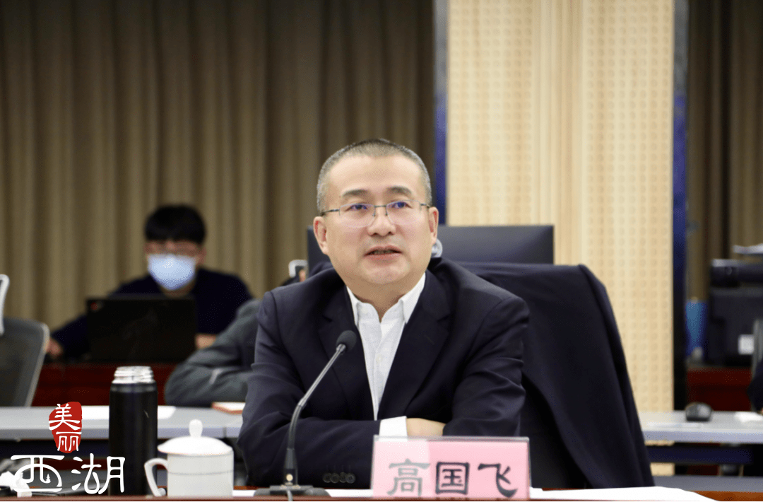 区委书记高国飞讲话.会议以视频会议形式召开,各镇街设分会场.