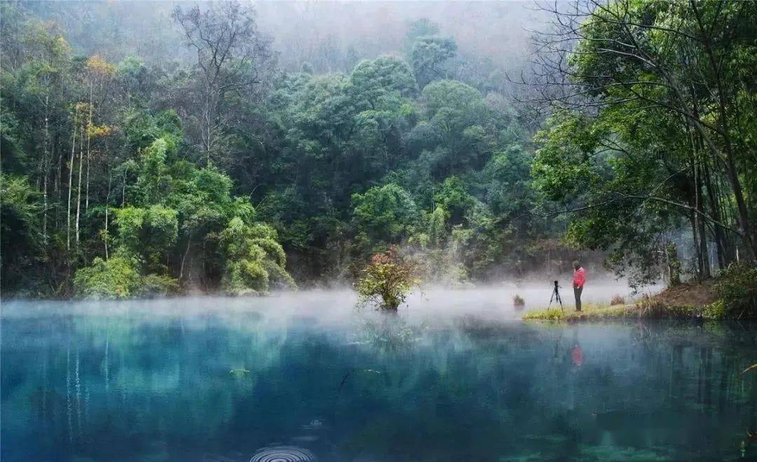 茂密原生森林内,喀斯特地貌形成的山水,林洞瀑石融为一体,峰峦叠嶂