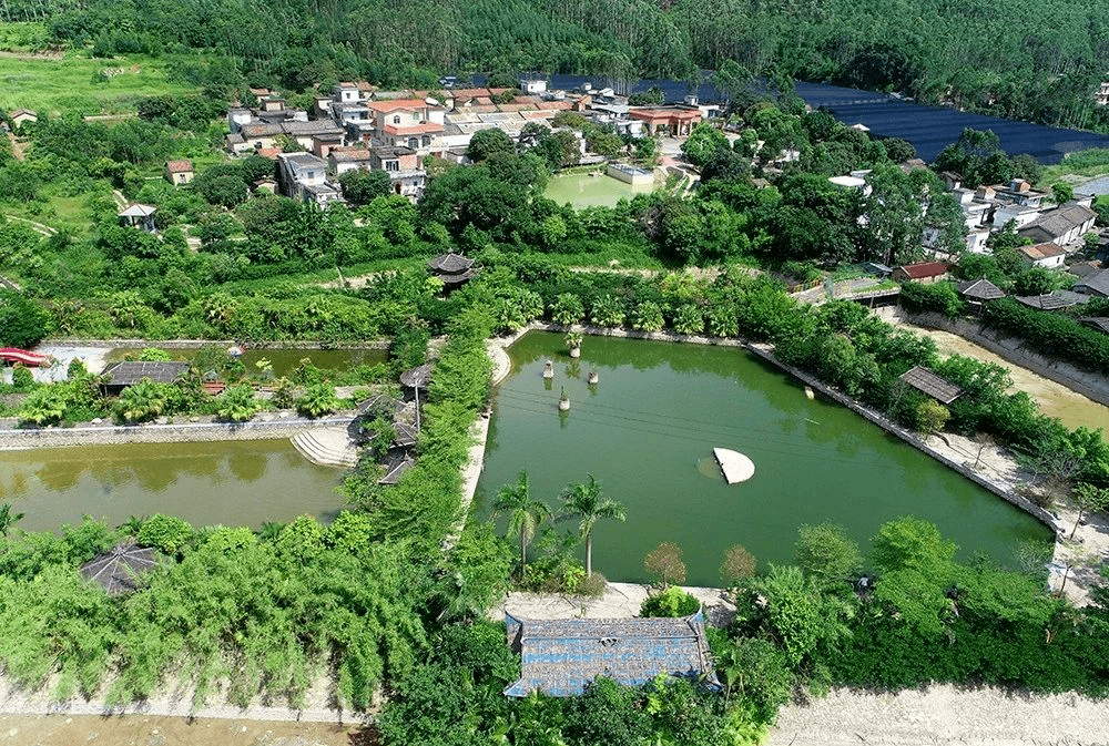 高明首个"民宿村"|家门口的诗意田园丨发现佛山民宿③_新安_旅游_房屋