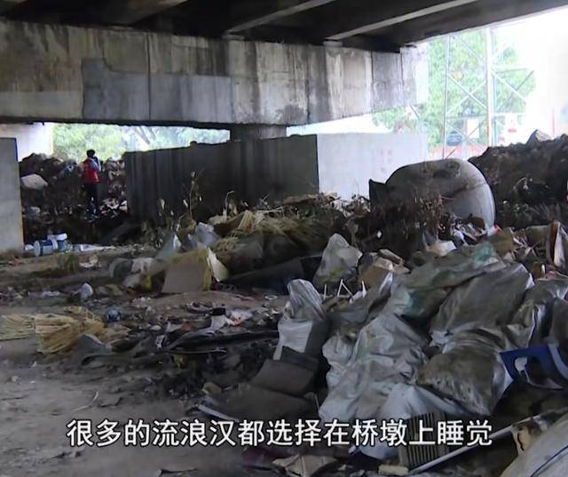 深圳:流浪大学生住在桥洞,一住就是三年,背后原因让人心酸_杨某_父母_感觉