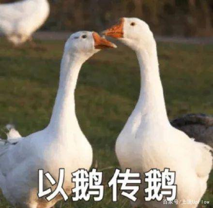 787e0ae5f9854a918281e84f1df695e6.jpeg