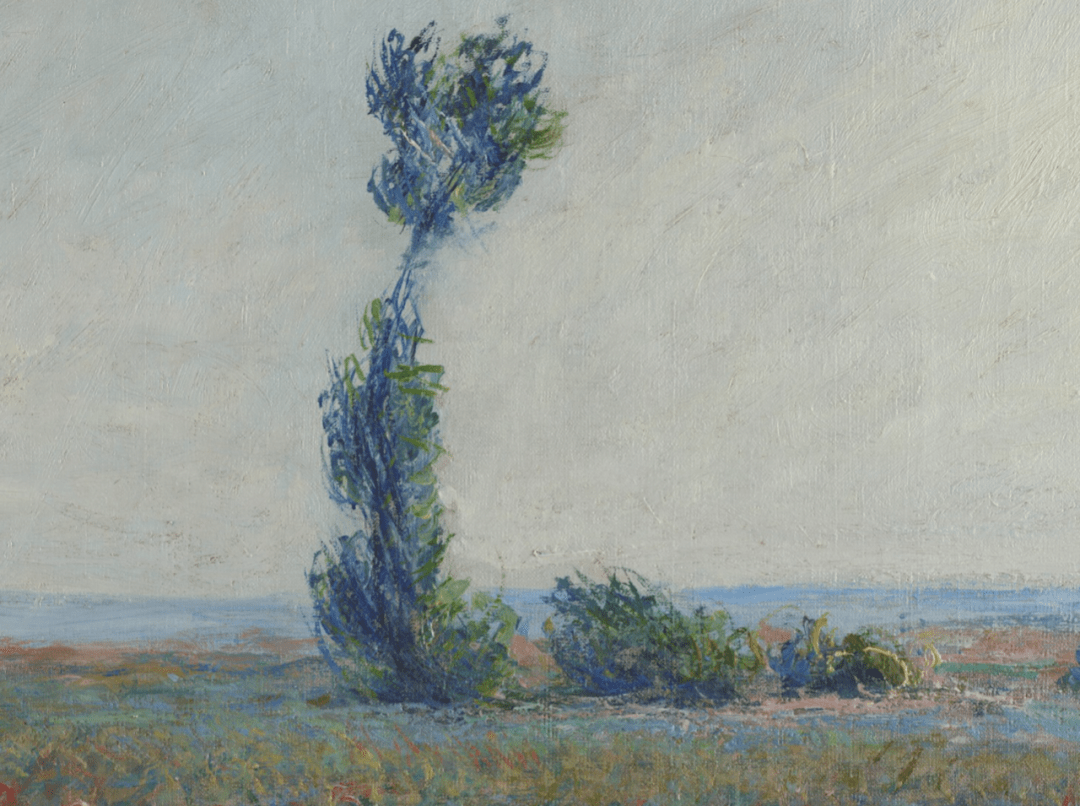 欣赏莫奈claudemonet高清局部