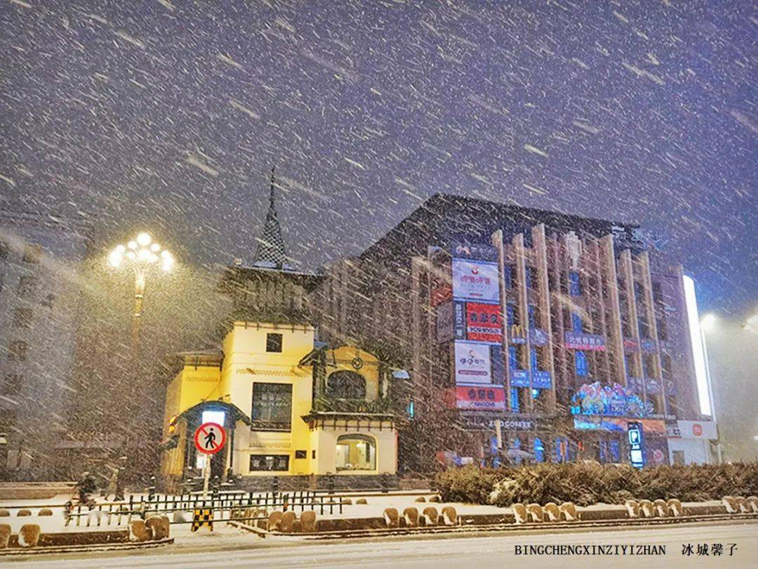 昨晚的鹅毛大雪有多美风雪中的哈尔滨红军街和中山路