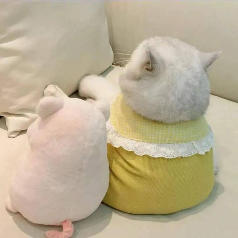 有趣的微信头像快保存呗_生活_小时候_人生