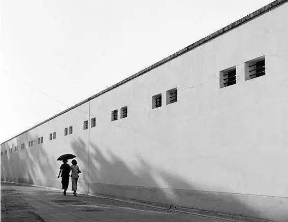 因为|“不要因为我拍过三级片，而否认我是一个出色的摄影师”