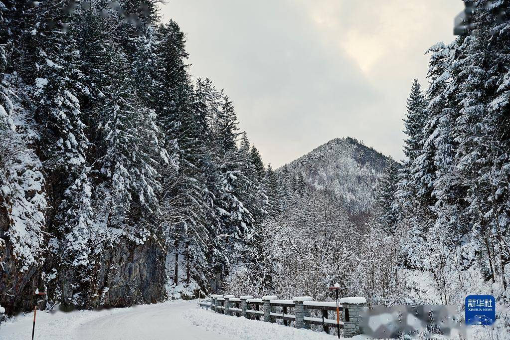 山区|雪后奥地利山区美如画