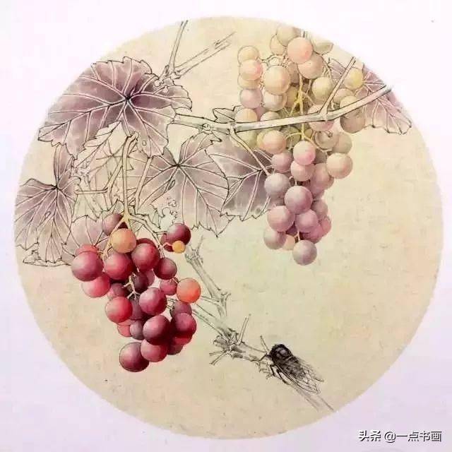 《葡萄秋蝉图》工笔绘制步骤_枝干_叶子_藤黄