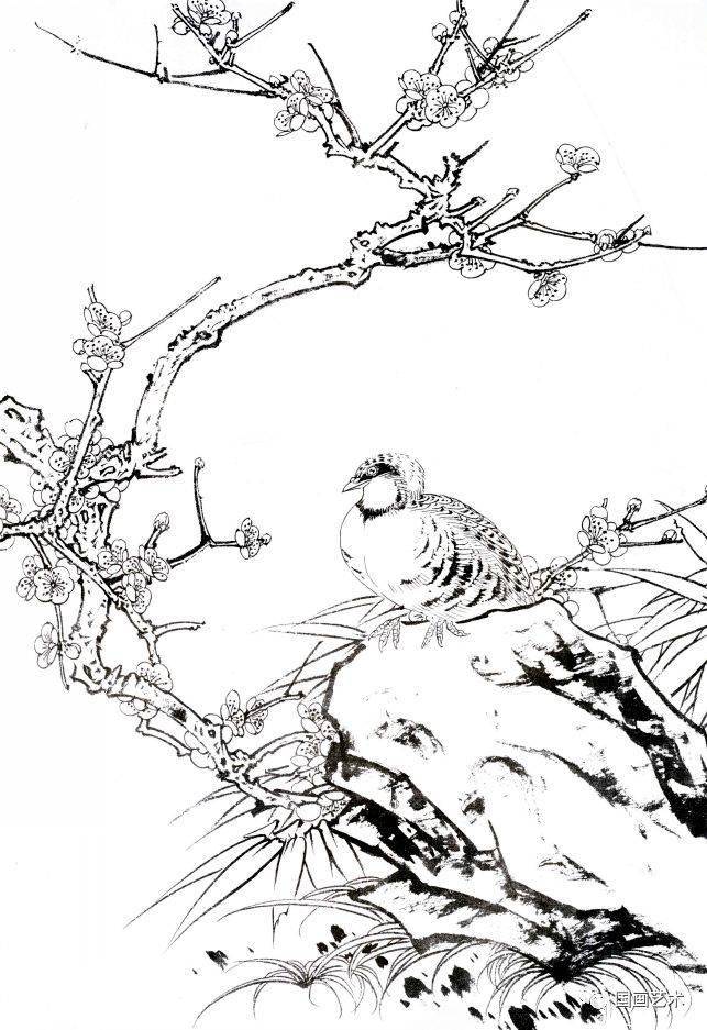 梅花小鸟白描画稿好美