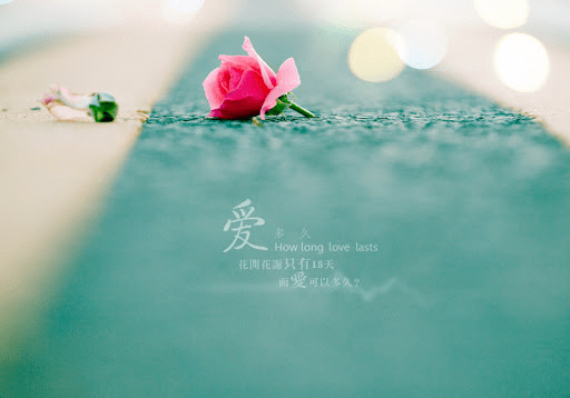 ab0b2e7d9540474cb138ecbc88e22db0.png