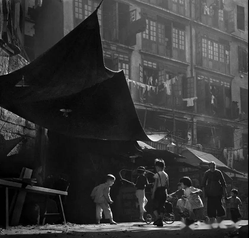 因为|“不要因为我拍过三级片，而否认我是一个出色的摄影师”