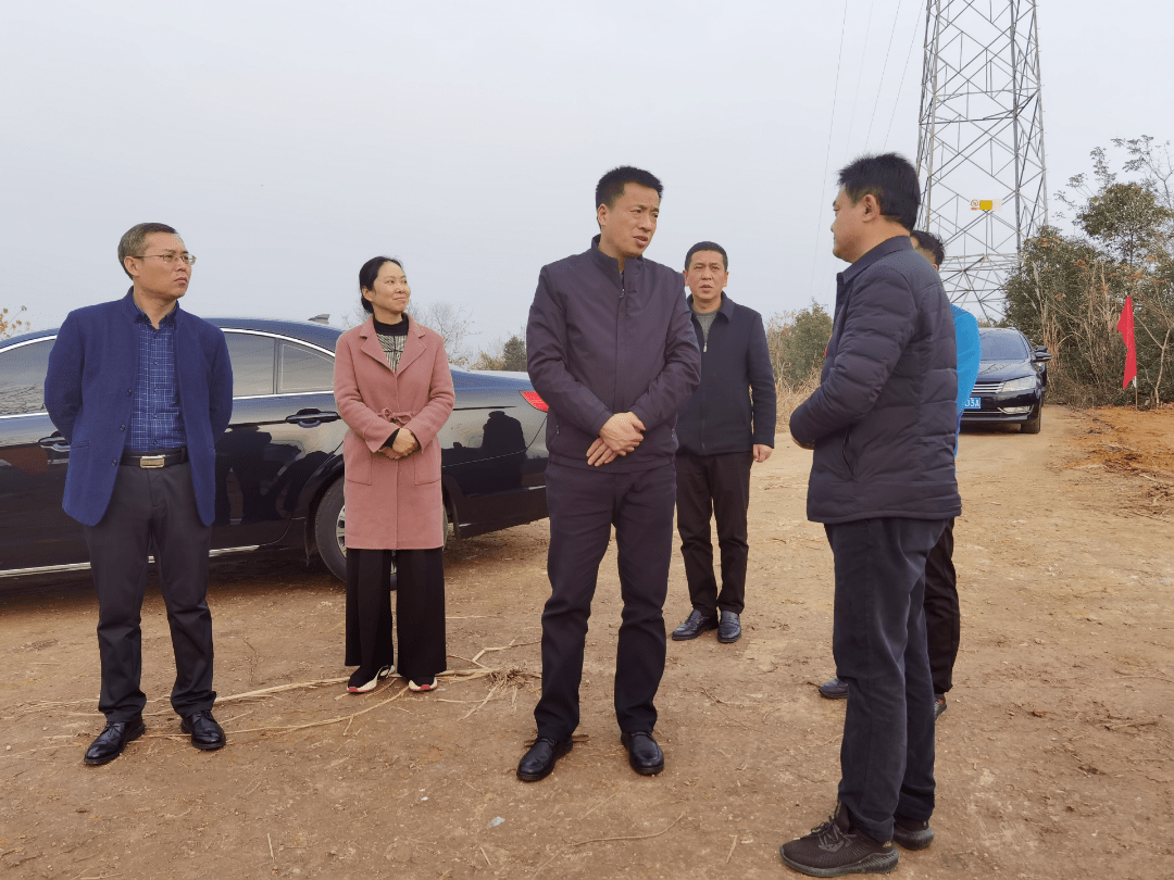 【调研】万鼎调研网湖湿地管理局工作_阳新_自然保护区_发展