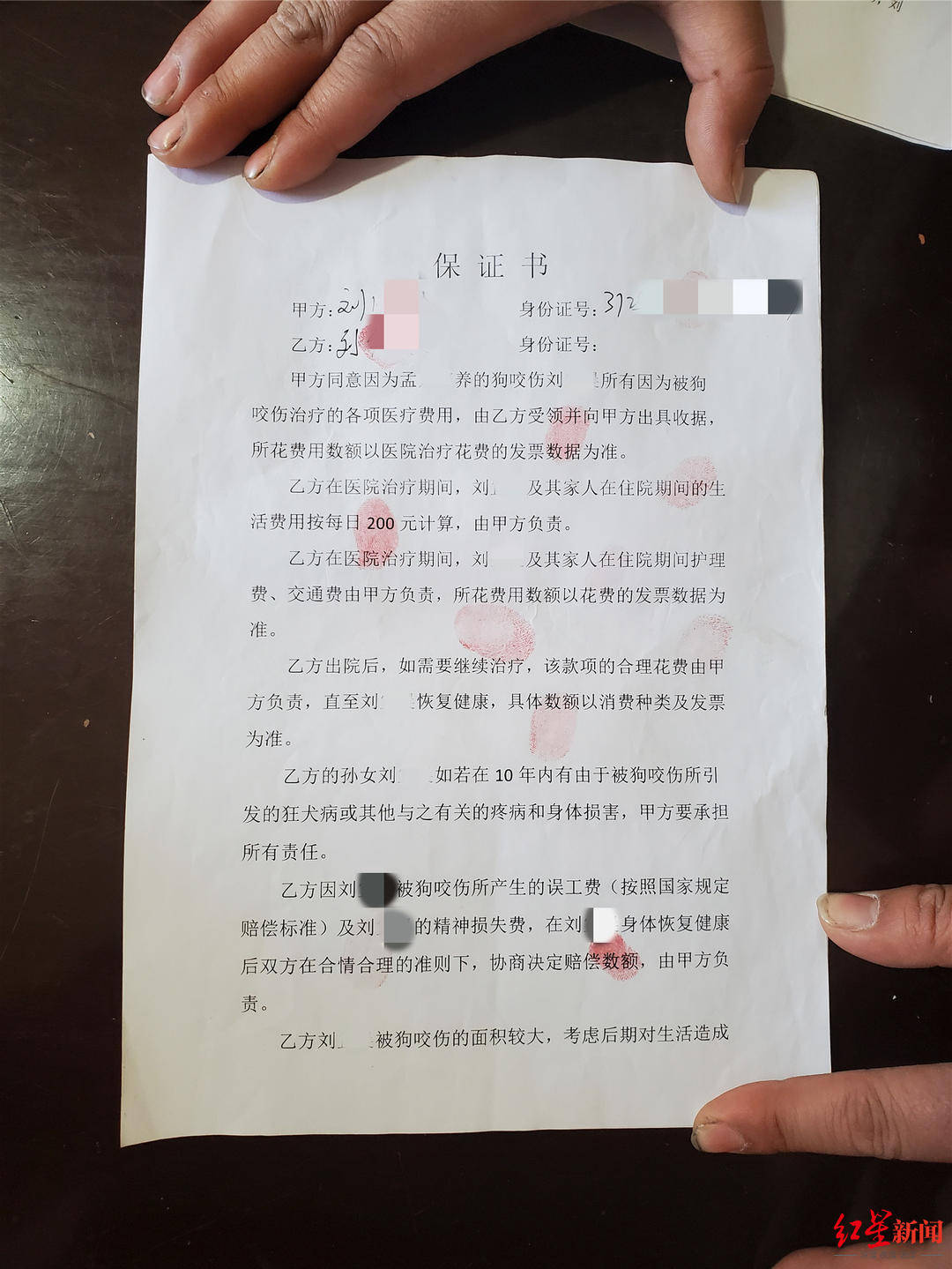 刘先生母亲与狗主人孟某的妻子刘某敏签订的保证书"晨晨住院期间