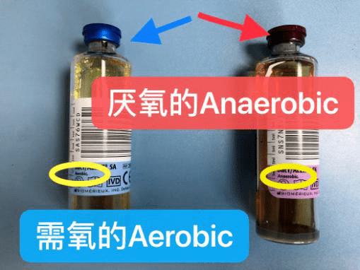 静脉|血培养操作不当致患者死亡，医院赔偿 17 万！这些细节不能忽略