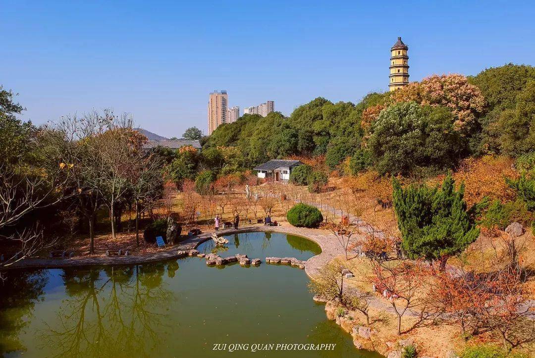 用一个词来解锁冬季的镇江,您选哪个?_景区_金山湖_cdw
