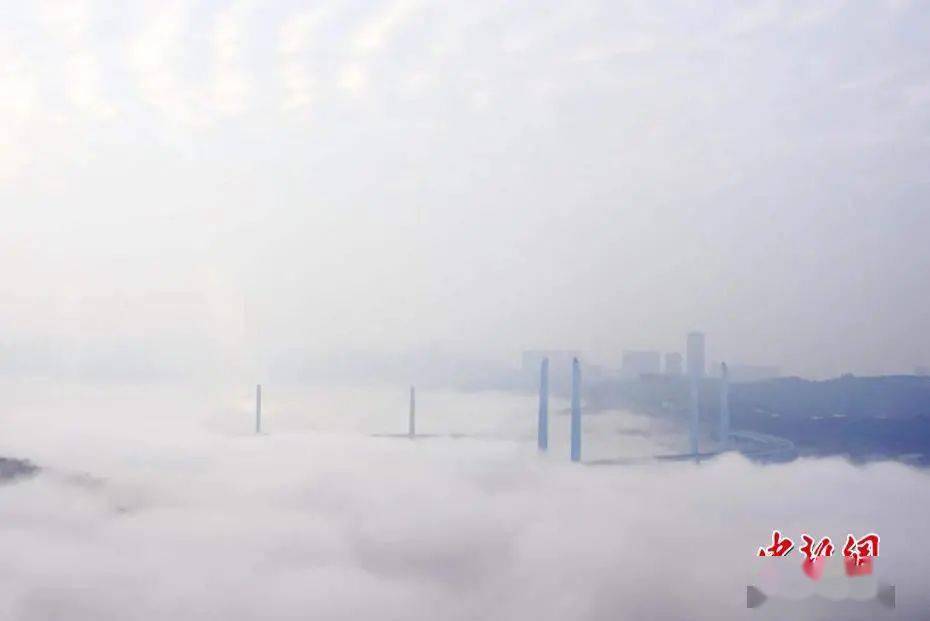 美仑美奂！两江新区礼嘉街道出现云海景观！