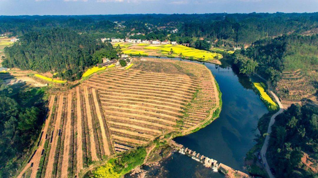 土主明天就出道!快来投票→→_土主镇_市中区_发展