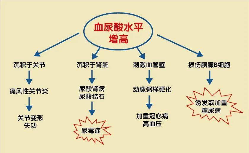 尿酸的危害有多大一張圖告訴你