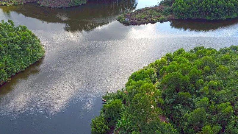 乐山这个"千岛湖"拍照出片率100%_郭星_水库_高中