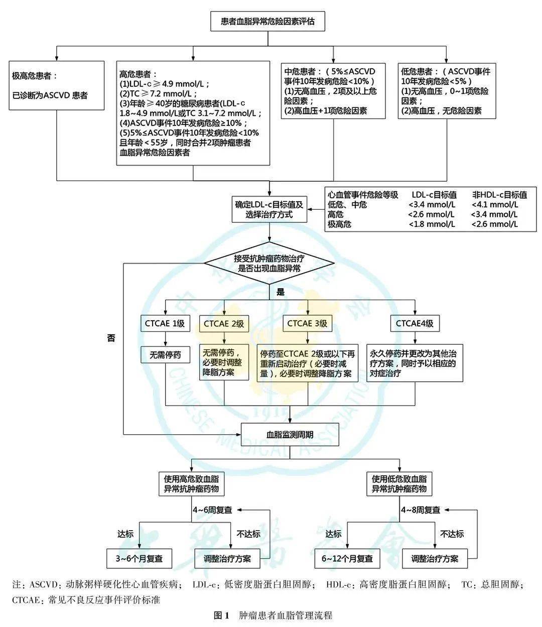 胆固醇_代谢_风险
