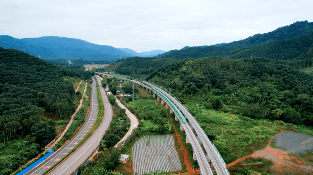 磨憨铁路口岸出境攻略快来get一下