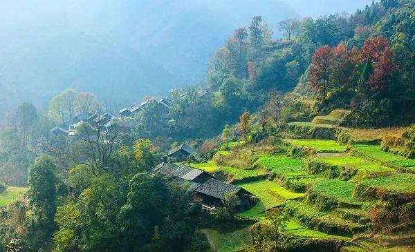 三苗视频苗族有自己的宗教信仰吗