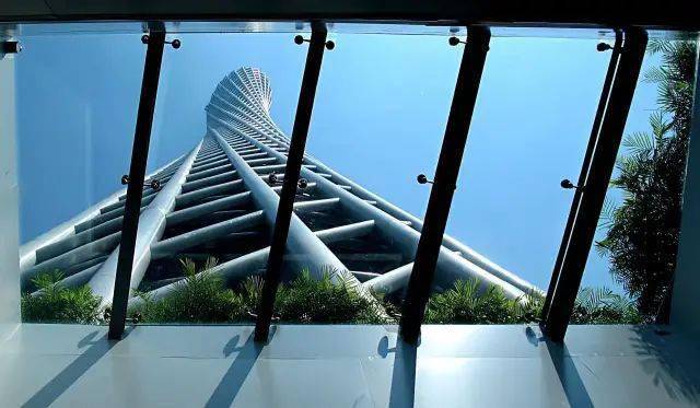 登顶广州塔_观光_平台_电梯