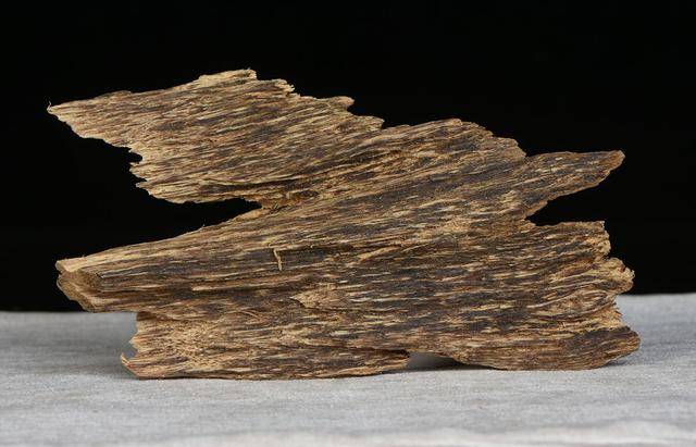 沉香【药用】瑞香科乔木沉香aquilariaagallocharoxb.及白木香a.