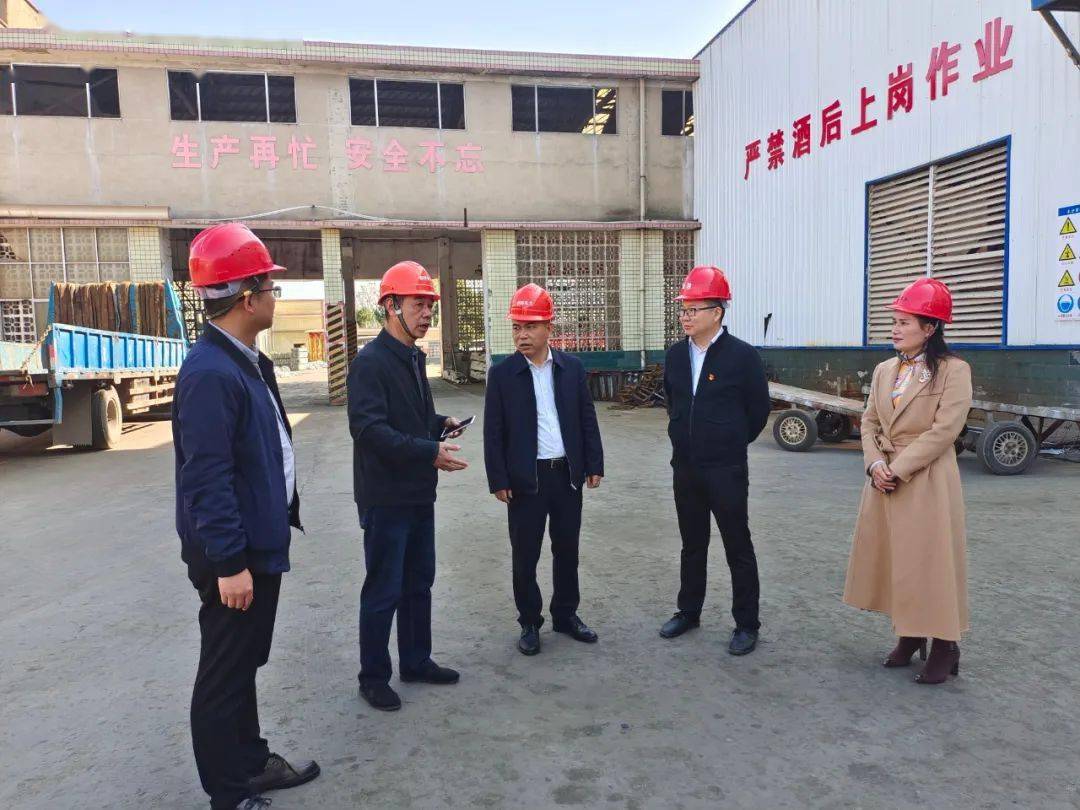 【政协新闻】毛葵赴江背镇开展宣讲和调研_企业_印山_湖南