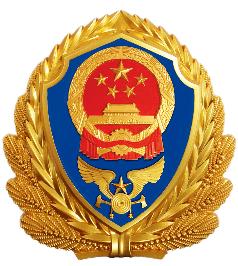 中国消防员徽章图片