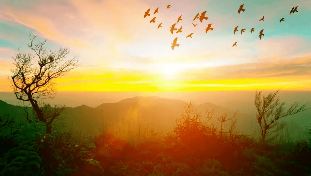 剪一抹冬阳与你