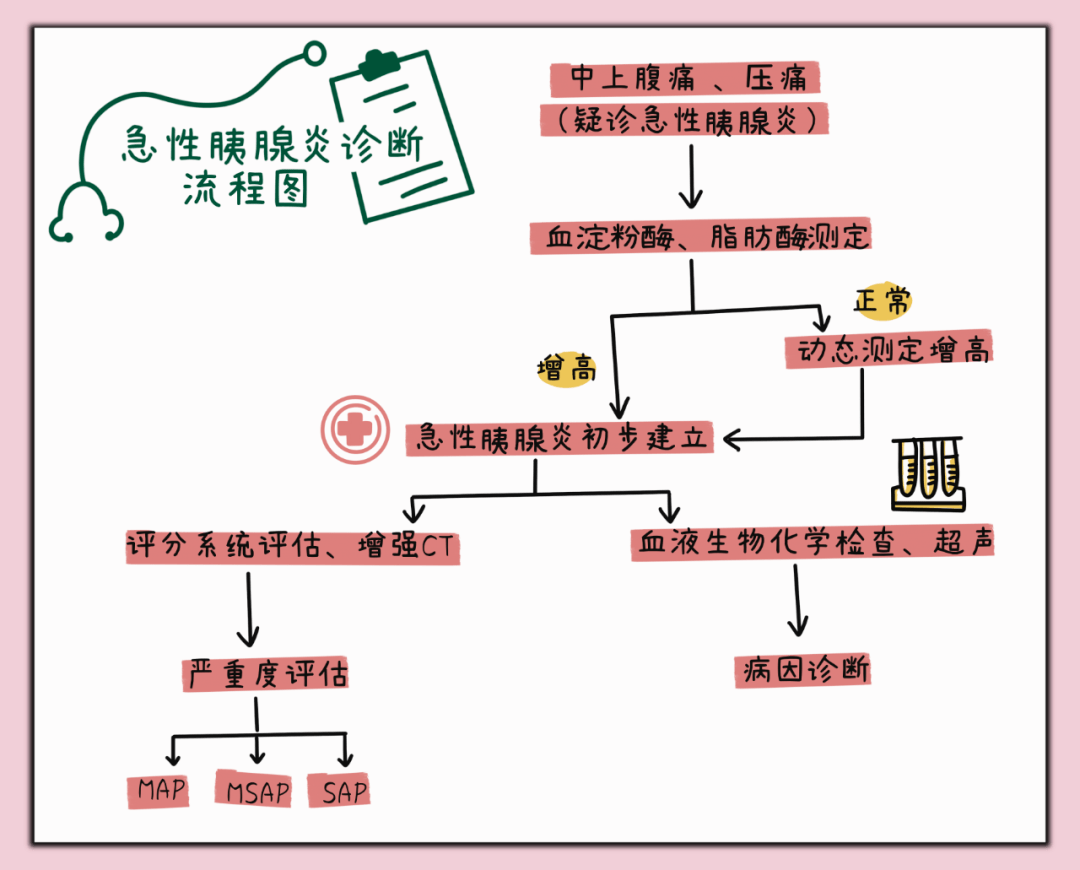 超高颜值急性胰腺炎公众与患者手册视觉呈现版yyds