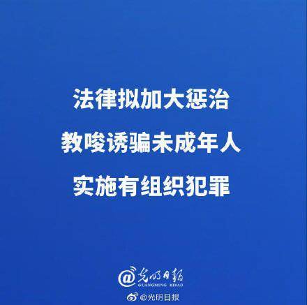 从重追究法律拟加大惩治教唆诱骗未成年人实施有组织犯罪