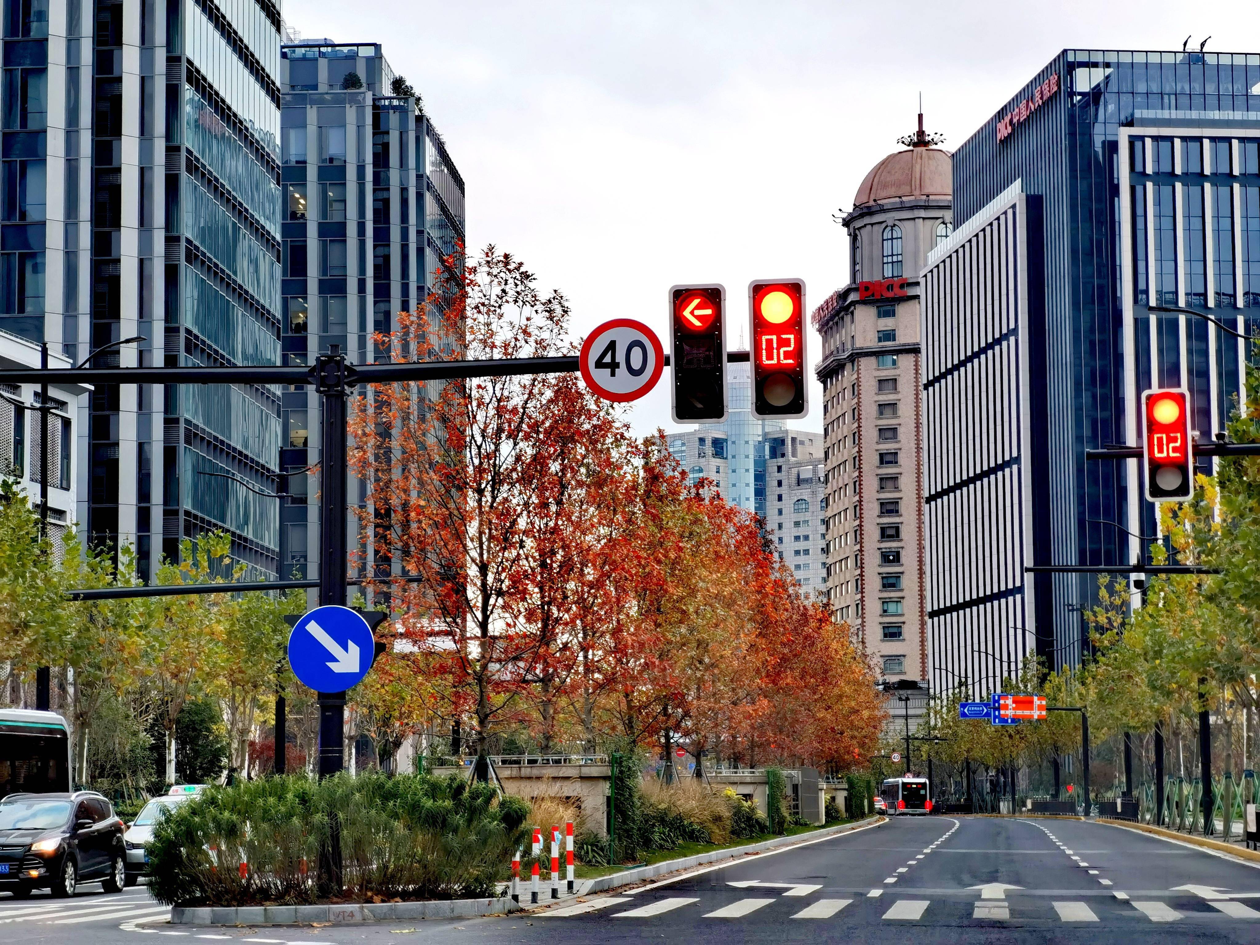 海棠|上海新增17条绿化特色道路，来看看这些路有多美