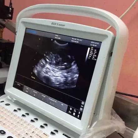 质疑_小船_猫咪