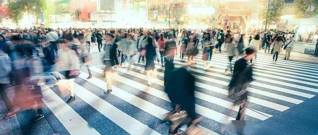 工资|为什么鲁迅成了当代职场男顶流？