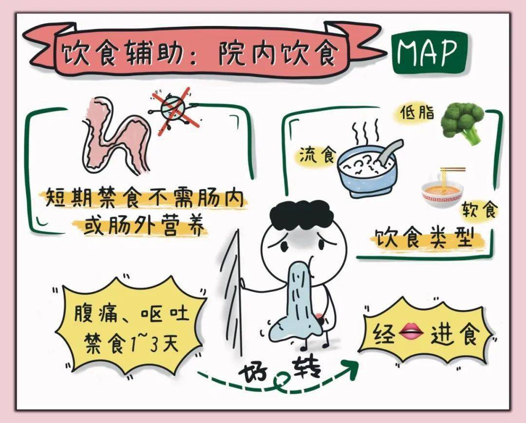 超高颜值急性胰腺炎公众与患者手册视觉呈现版yyds