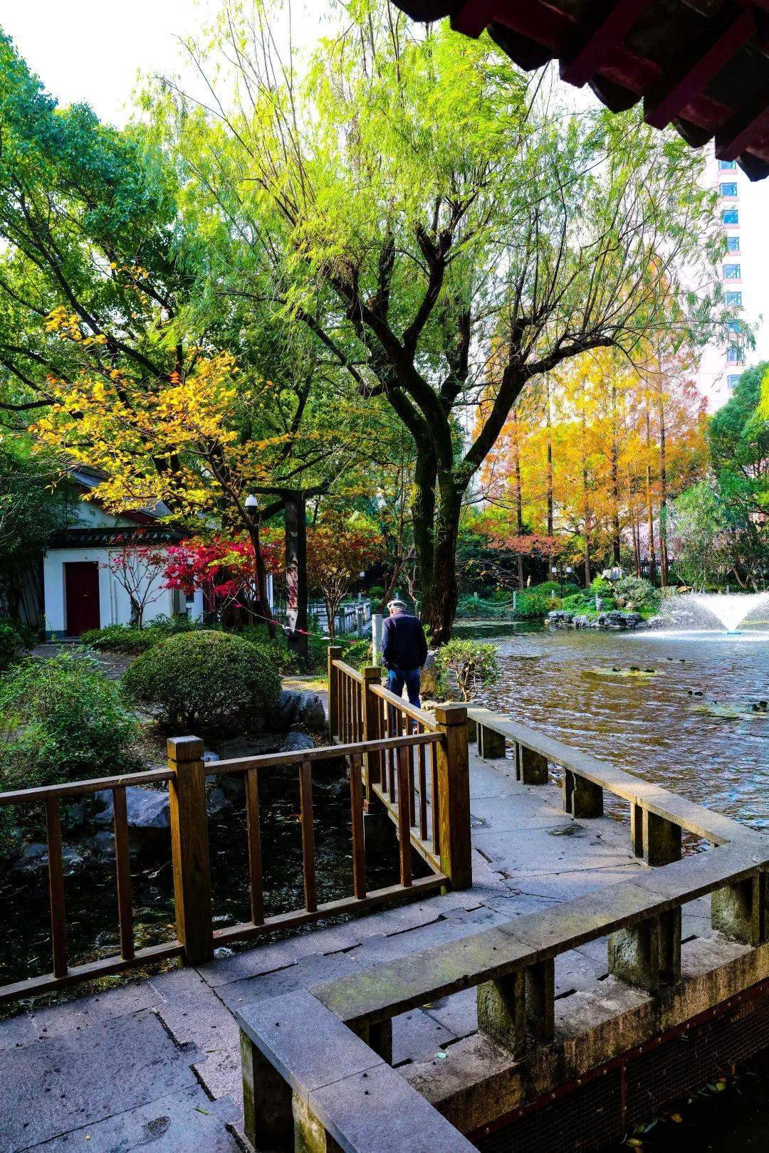 杨浦这个古色古香的公园,等你来打卡秋色