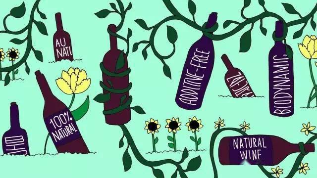 酿酒|有机、生物动力、自然酒区别原来是这样的！