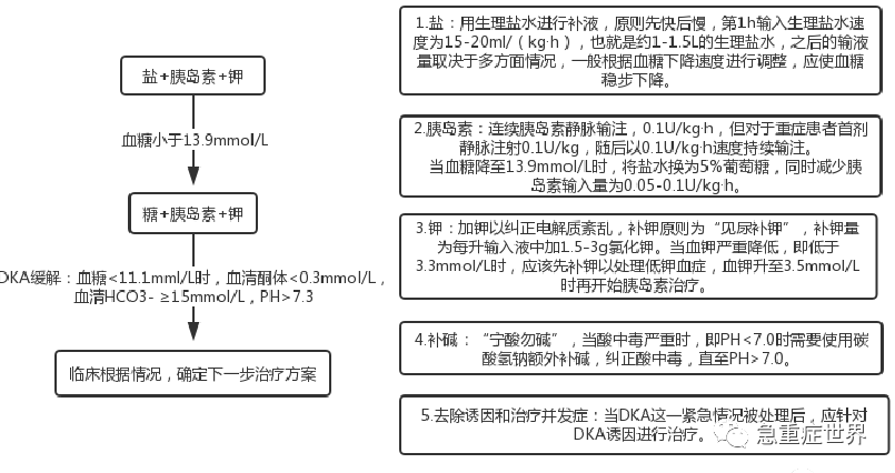 糖尿病酮症酸中毒处理规范