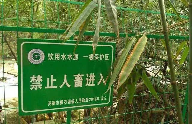 钓鱼人被驱赶一些水库为什么禁止钓鱼或者钓鱼收费
