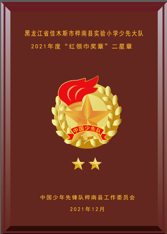 争章筑梦红领巾在行动桦南团县委县少工委扎实开展红领巾奖章争章活动